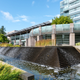 Illustration for article titled 2019-09-24 Pictures From Around Richmond City Hall
